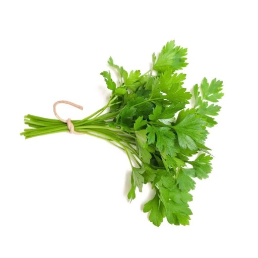  عکس گشنیز